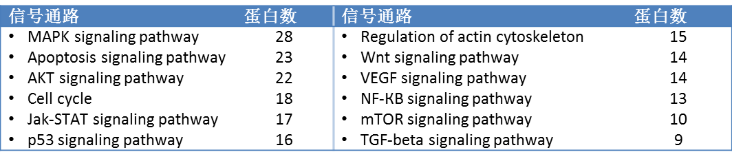 腫瘤信號通路廣譜芯片3